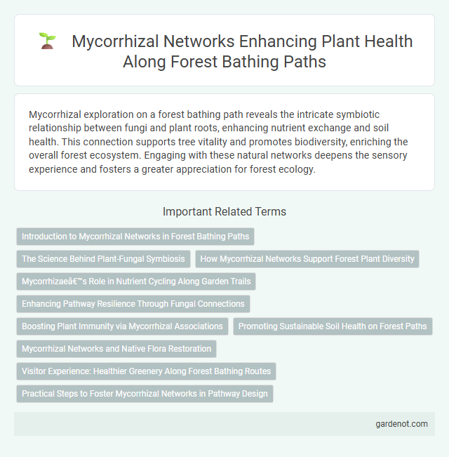 Mycorrhizal Networks Enhancing Plant Health Along Forest Bathing Paths