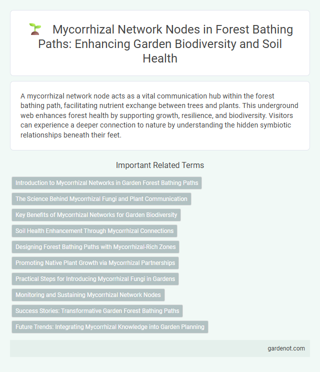 Mycorrhizal Network Nodes in Forest Bathing Paths: Enhancing Garden Biodiversity and Soil Health