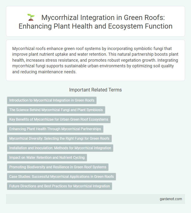 Mycorrhizal Integration in Green Roofs: Enhancing Plant Health and Ecosystem Function