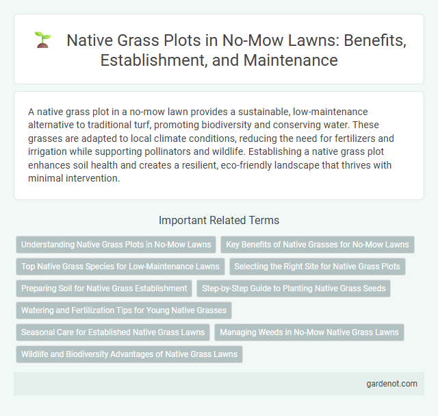Native Grass Plots in No-Mow Lawns: Benefits, Establishment, and Maintenance