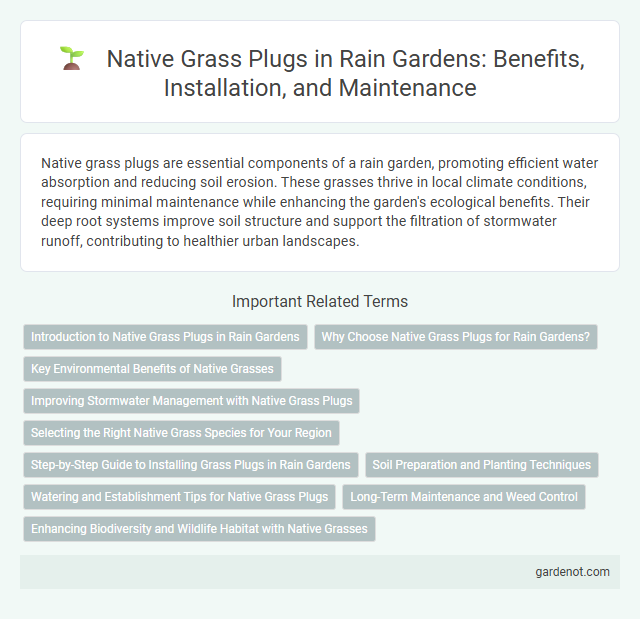 Native Grass Plugs in Rain Gardens: Benefits, Installation, and Maintenance