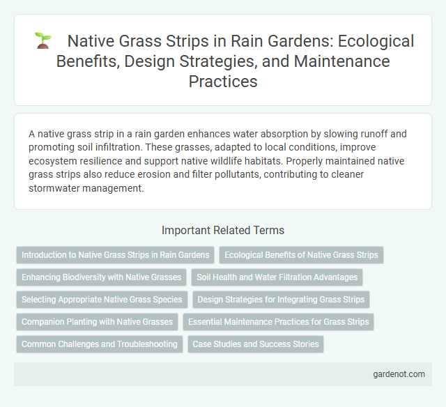 Native Grass Strips in Rain Gardens: Ecological Benefits, Design Strategies, and Maintenance Practices