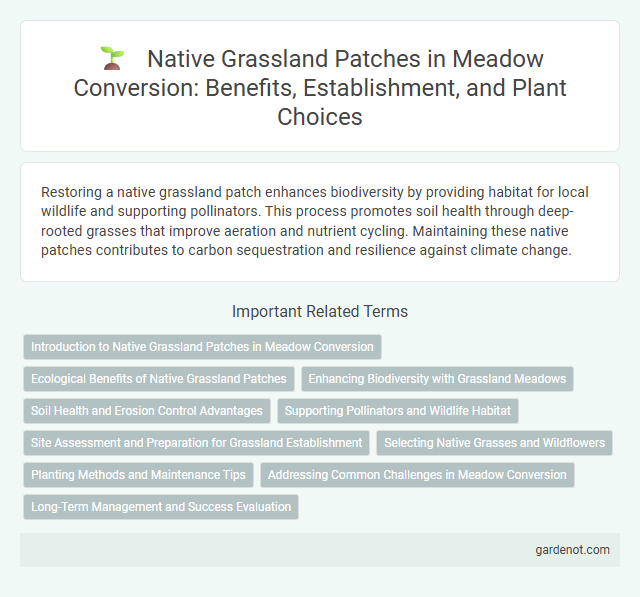 Native Grassland Patches in Meadow Conversion: Benefits, Establishment, and Plant Choices