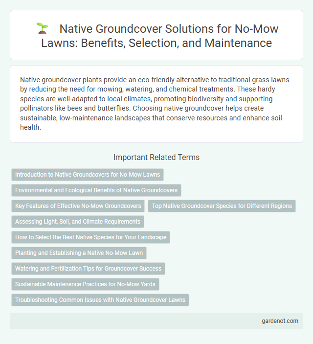 Native Groundcover Solutions for No-Mow Lawns: Benefits, Selection, and Maintenance