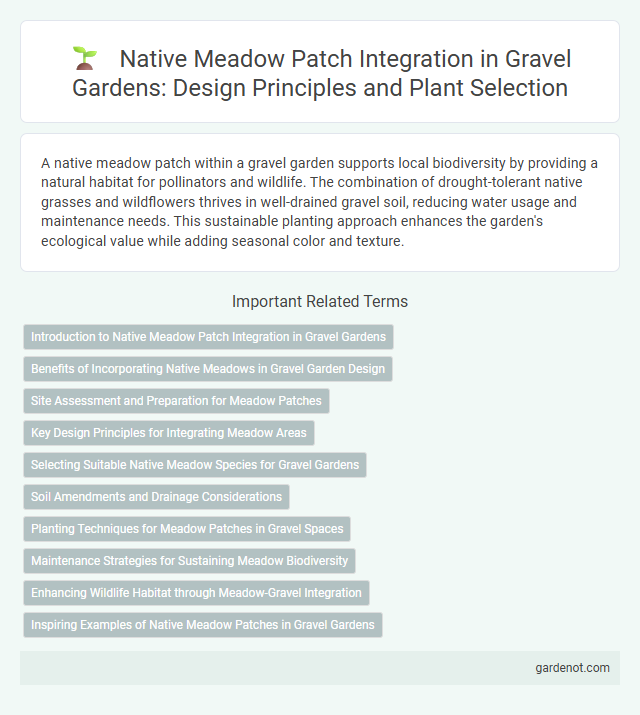 Native Meadow Patch Integration in Gravel Gardens: Design Principles and Plant Selection