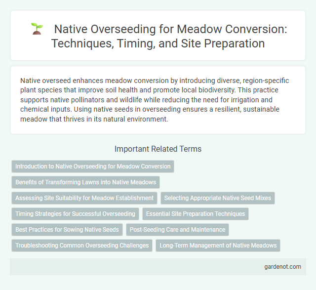 Native Overseeding for Meadow Conversion: Techniques, Timing, and Site Preparation