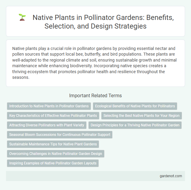 Native Plants in Pollinator Gardens: Benefits, Selection, and Design Strategies