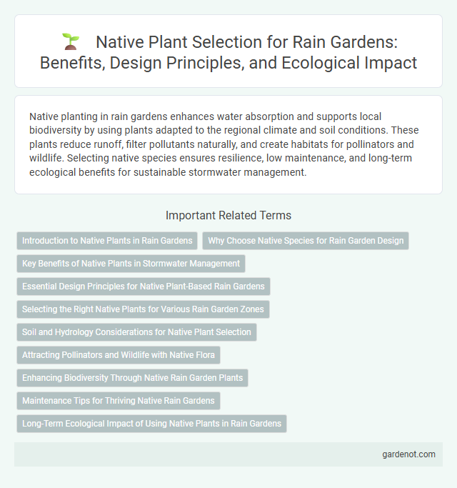 Native Plant Selection for Rain Gardens: Benefits, Design Principles, and Ecological Impact