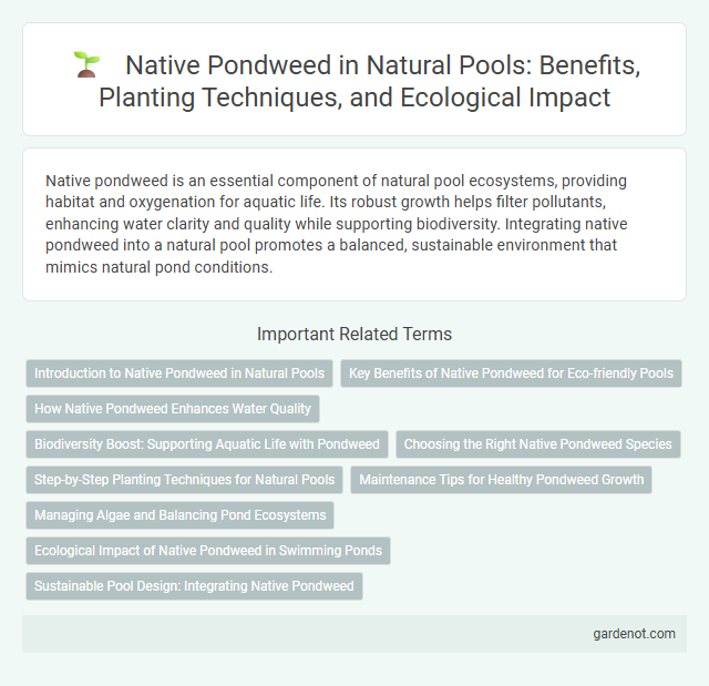 Native Pondweed in Natural Pools: Benefits, Planting Techniques, and Ecological Impact