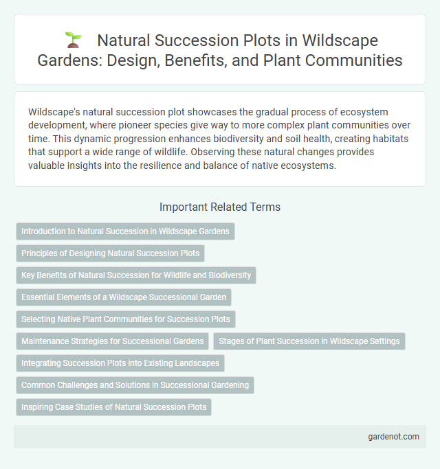 Natural Succession Plots in Wildscape Gardens: Design, Benefits, and Plant Communities