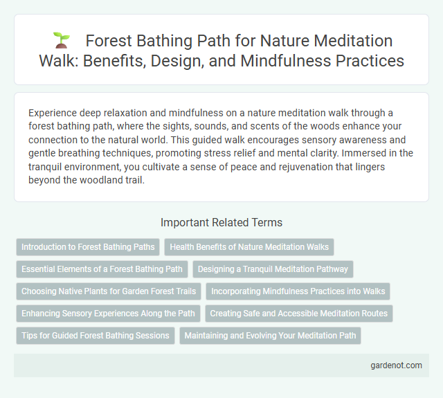 Forest Bathing Path for Nature Meditation Walk: Benefits, Design, and Mindfulness Practices