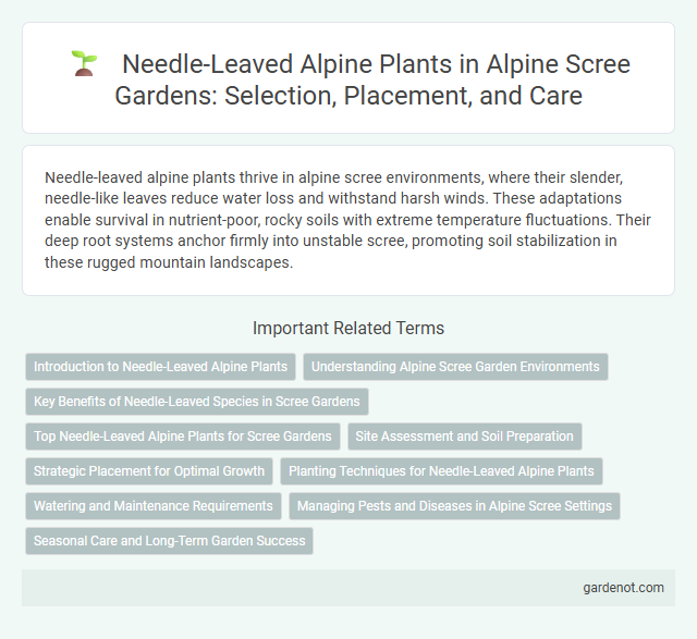 Needle-Leaved Alpine Plants in Alpine Scree Gardens: Selection, Placement, and Care