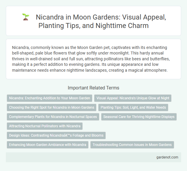 Nicandra in Moon Gardens: Visual Appeal, Planting Tips, and Nighttime Charm
