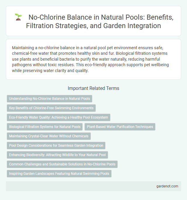 No-Chlorine Balance in Natural Pools: Benefits, Filtration Strategies, and Garden Integration