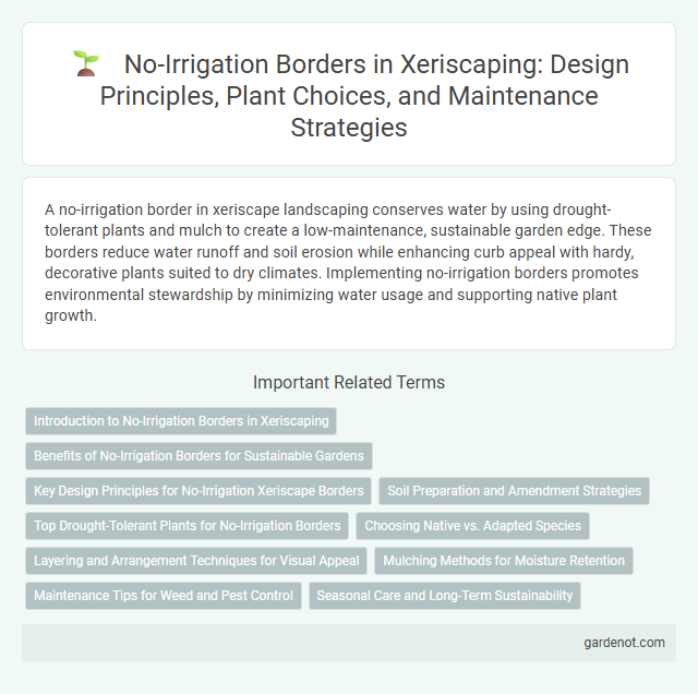 No-Irrigation Borders in Xeriscaping: Design Principles, Plant Choices, and Maintenance Strategies