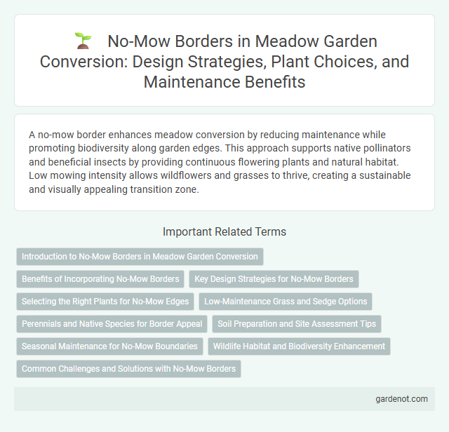 No-Mow Borders in Meadow Garden Conversion: Design Strategies, Plant Choices, and Maintenance Benefits