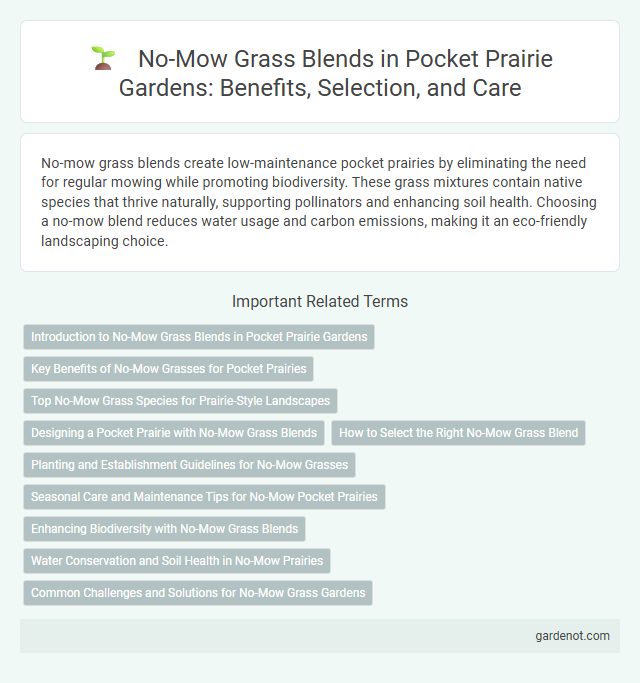 No-Mow Grass Blends in Pocket Prairie Gardens: Benefits, Selection, and Care