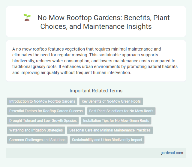 No-Mow Rooftop Gardens: Benefits, Plant Choices, and Maintenance Insights