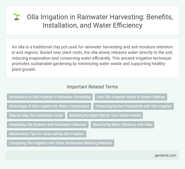 Olla Irrigation in Rainwater Harvesting: Benefits, Installation, and Water Efficiency
