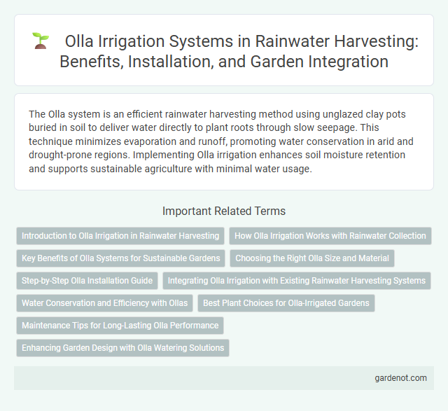 Olla Irrigation Systems in Rainwater Harvesting: Benefits, Installation, and Garden Integration