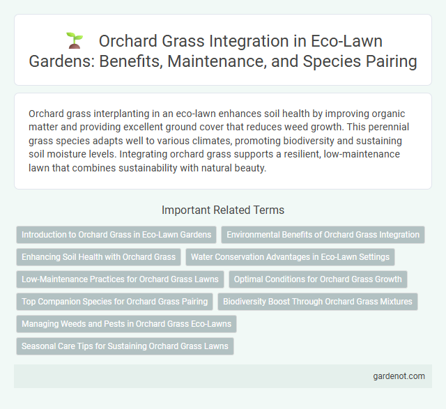 Orchard Grass Integration in Eco-Lawn Gardens: Benefits, Maintenance, and Species Pairing