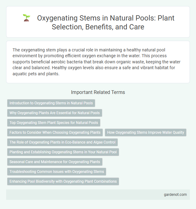 Oxygenating Stems in Natural Pools: Plant Selection, Benefits, and Care