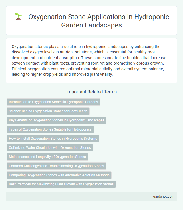 Oxygenation Stone Applications in Hydroponic Garden Landscapes