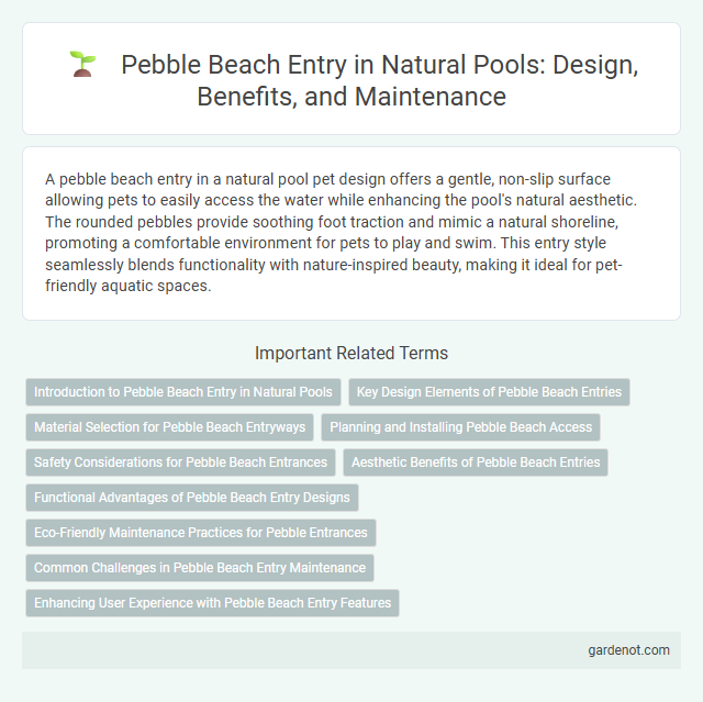 Pebble Beach Entry in Natural Pools: Design, Benefits, and Maintenance