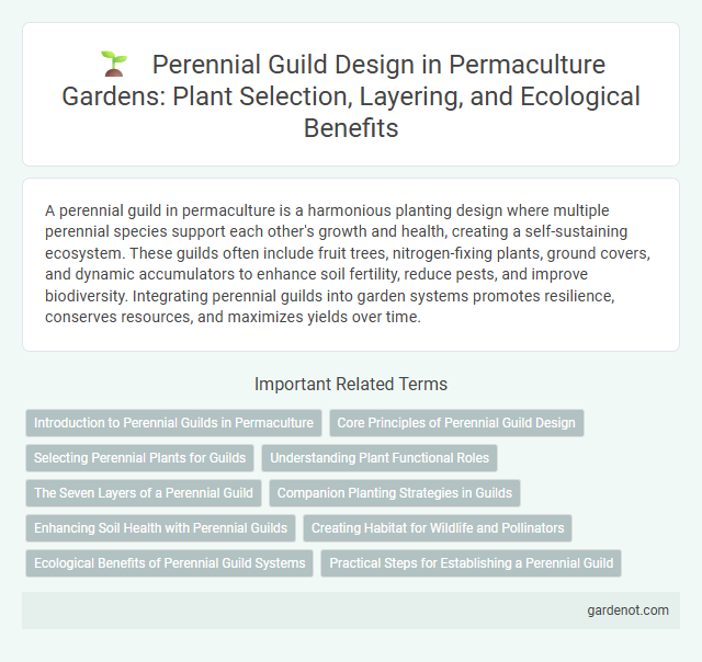 Perennial Guild Design in Permaculture Gardens: Plant Selection, Layering, and Ecological Benefits