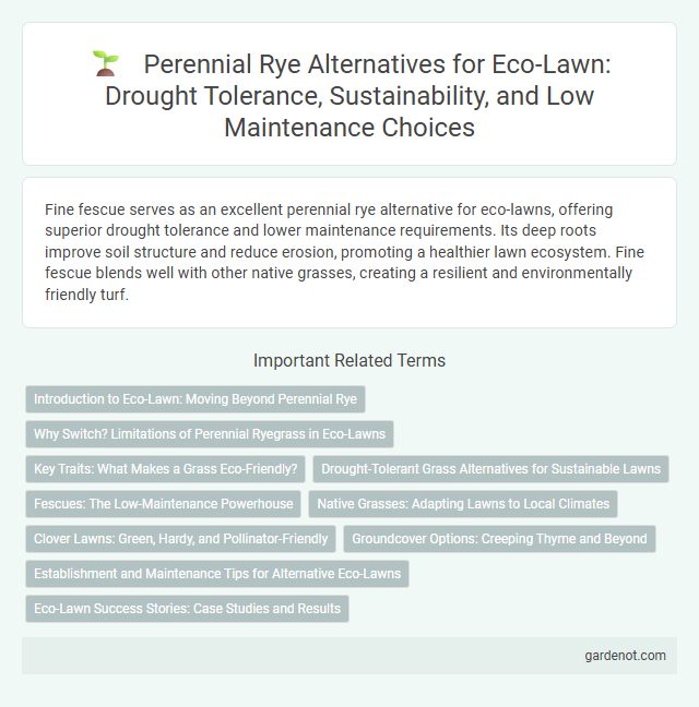 Perennial Rye Alternatives for Eco-Lawn: Drought Tolerance, Sustainability, and Low Maintenance Choices