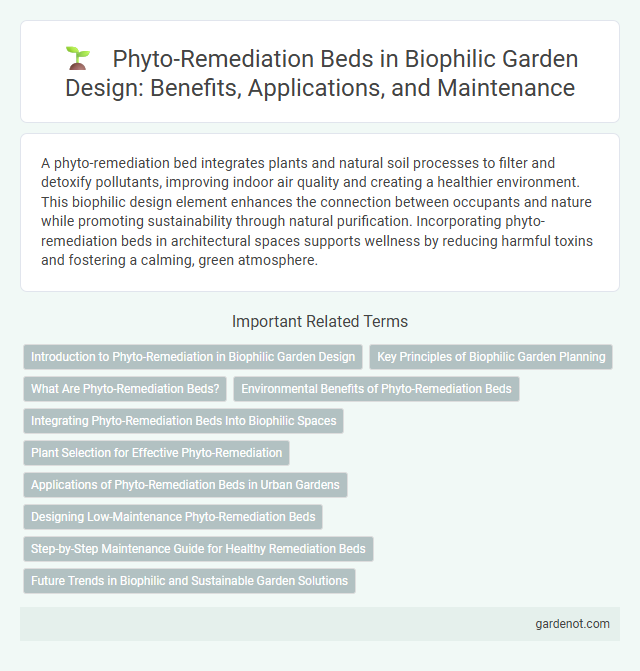 Phyto-Remediation Beds in Biophilic Garden Design: Benefits, Applications, and Maintenance