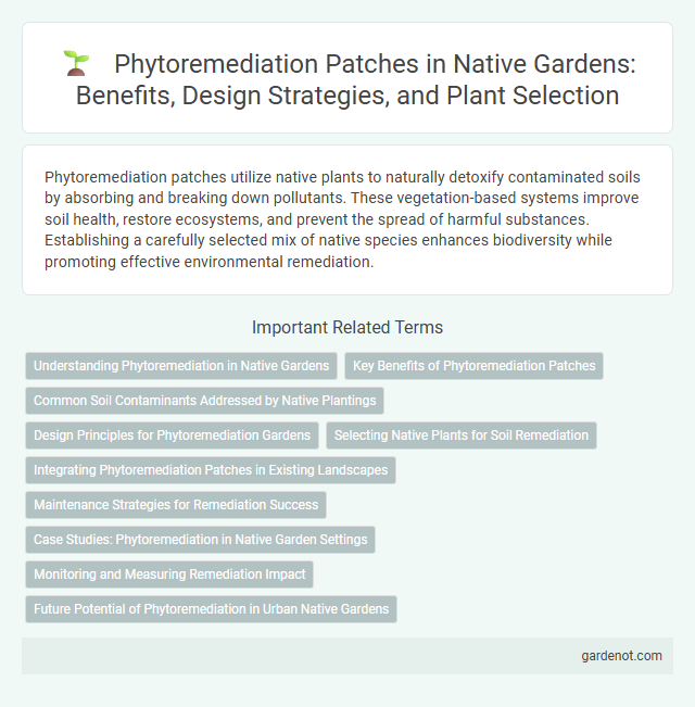 Phytoremediation Patches in Native Gardens: Benefits, Design Strategies, and Plant Selection