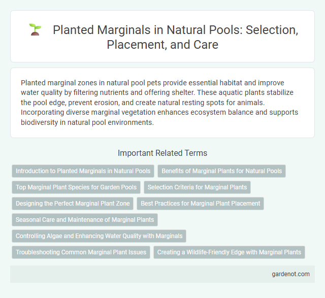 Planted Marginals in Natural Pools: Selection, Placement, and Care