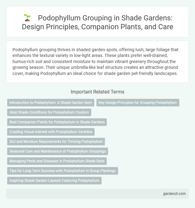 Podophyllum Grouping in Shade Gardens: Design Principles, Companion Plants, and Care