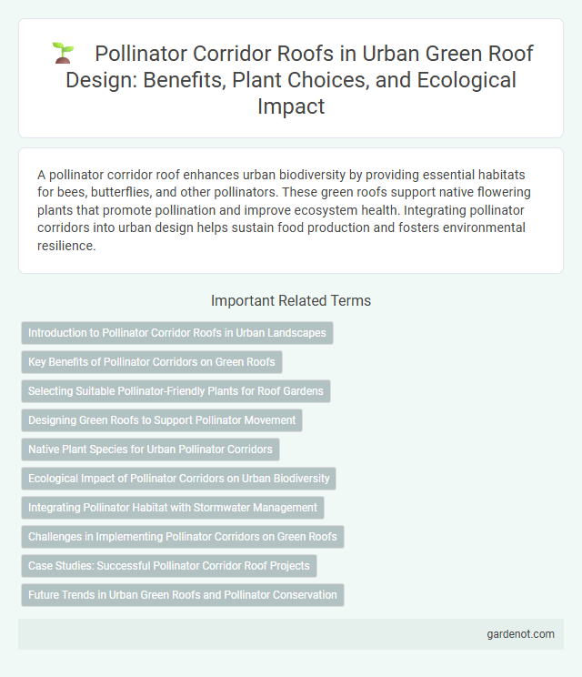 Pollinator Corridor Roofs in Urban Green Roof Design: Benefits, Plant Choices, and Ecological Impact