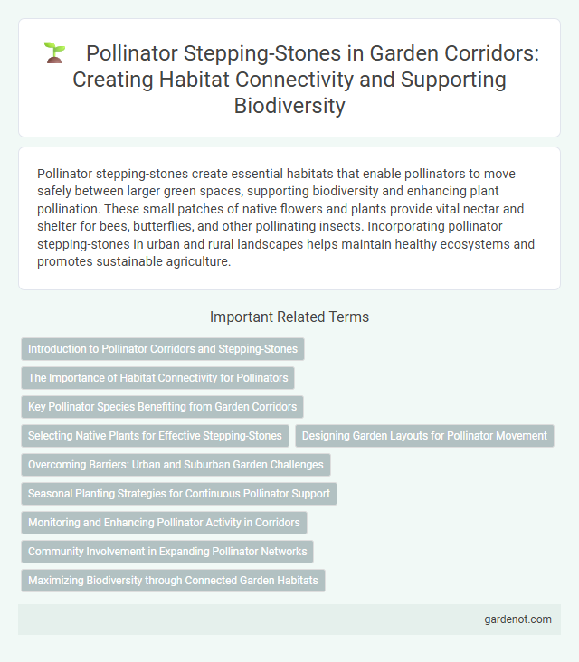 Pollinator Stepping-Stones in Garden Corridors: Creating Habitat Connectivity and Supporting Biodiversity