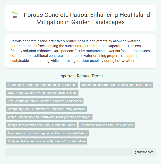 Porous Concrete Patios: Enhancing Heat Island Mitigation in Garden Landscapes