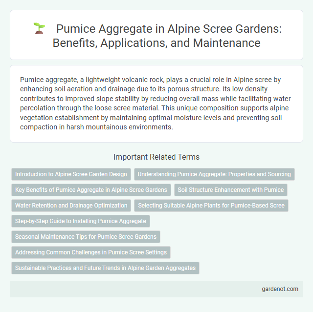 Pumice Aggregate in Alpine Scree Gardens: Benefits, Applications, and Maintenance