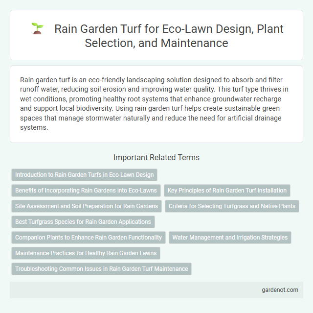Rain Garden Turf for Eco-Lawn Design, Plant Selection, and Maintenance