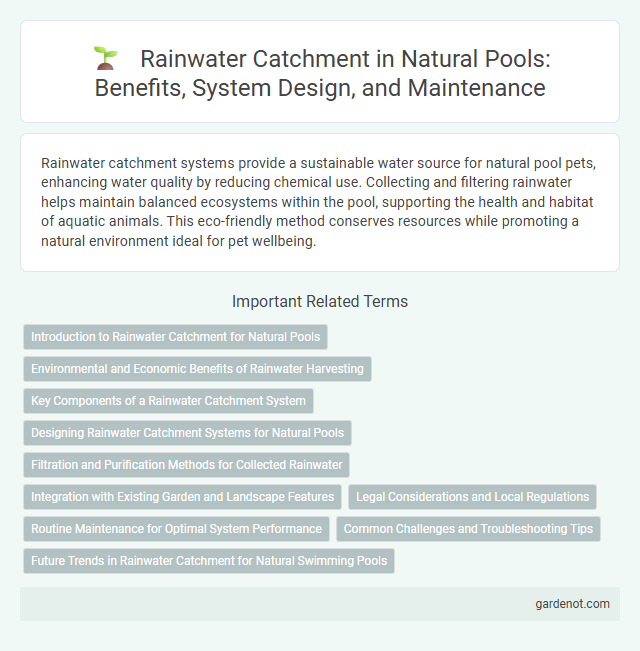 Rainwater Catchment in Natural Pools: Benefits, System Design, and Maintenance