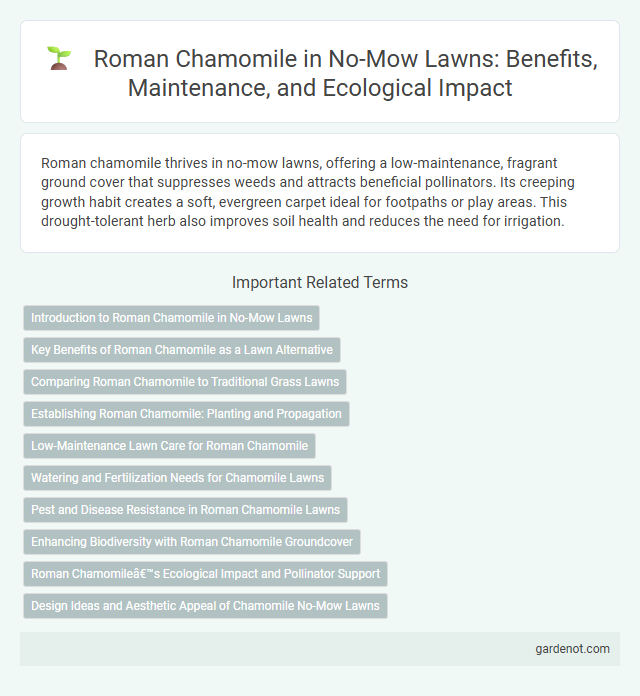 Roman Chamomile in No-Mow Lawns: Benefits, Maintenance, and Ecological Impact