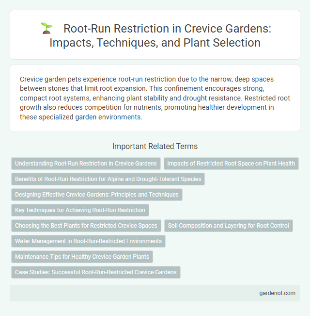 Root-Run Restriction in Crevice Gardens: Impacts, Techniques, and Plant Selection