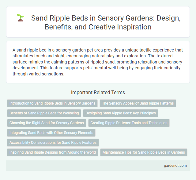 Sand Ripple Beds in Sensory Gardens: Design, Benefits, and Creative Inspiration