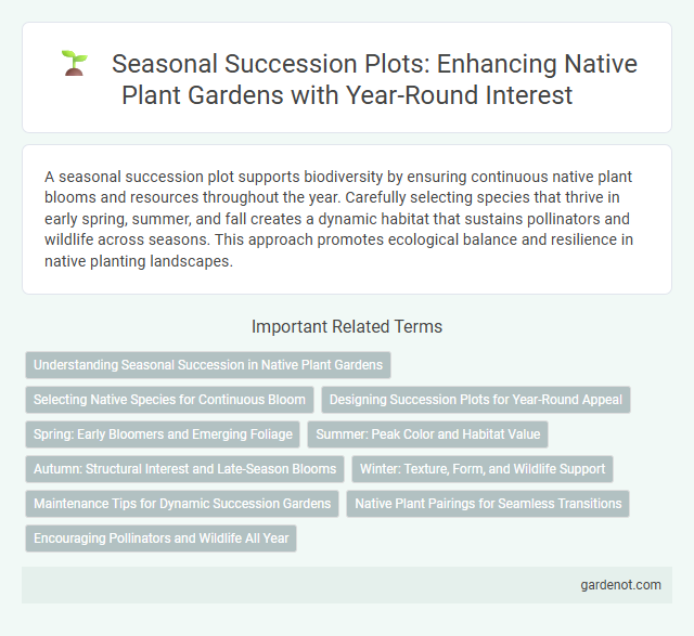 Seasonal Succession Plots: Enhancing Native Plant Gardens with Year-Round Interest