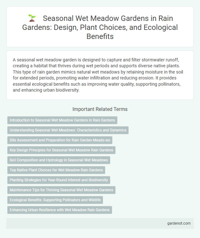 Seasonal Wet Meadow Gardens in Rain Gardens: Design, Plant Choices, and Ecological Benefits