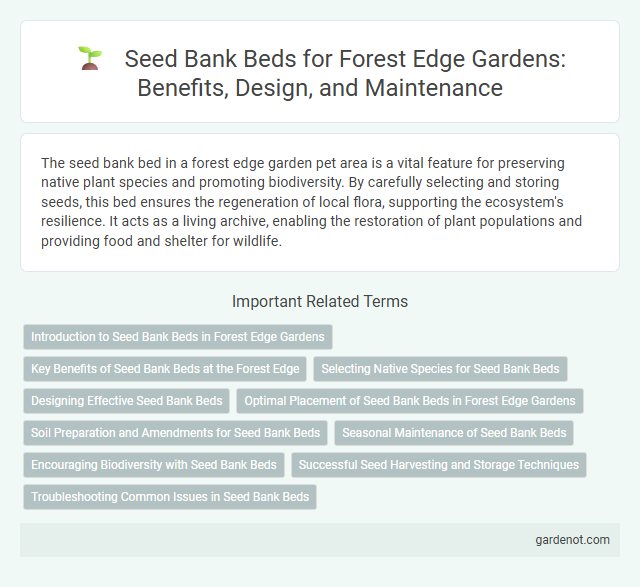 Seed Bank Beds for Forest Edge Gardens: Benefits, Design, and Maintenance