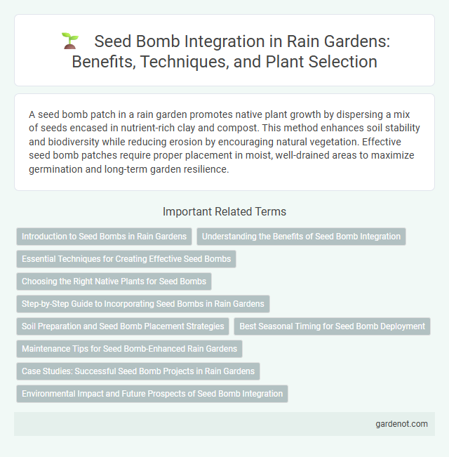 Seed Bomb Integration in Rain Gardens: Benefits, Techniques, and Plant Selection