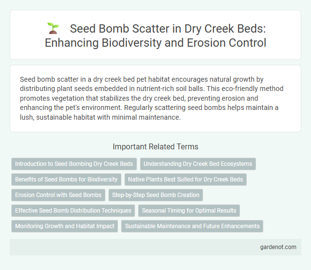 Seed Bomb Scatter in Dry Creek Beds: Enhancing Biodiversity and Erosion Control