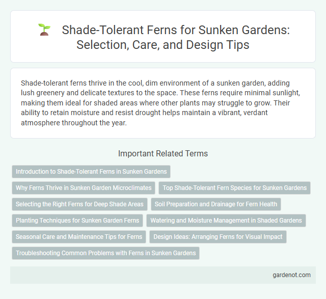 Shade-Tolerant Ferns for Sunken Gardens: Selection, Care, and Design Tips