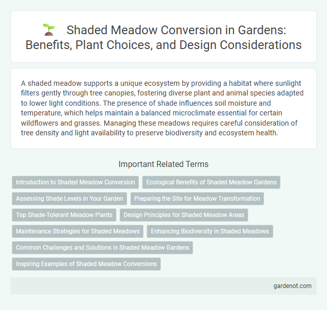 Shaded Meadow Conversion in Gardens: Benefits, Plant Choices, and Design Considerations